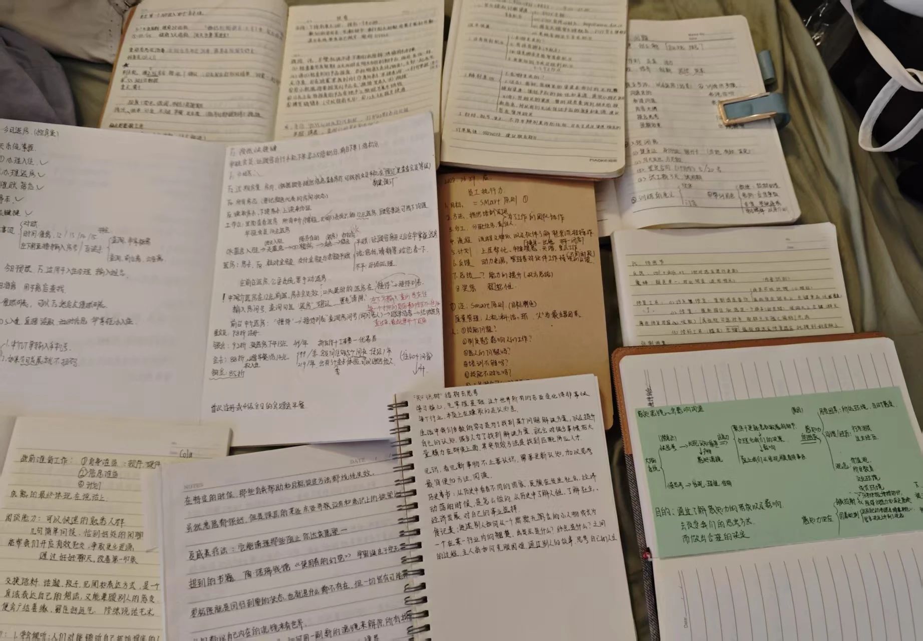 我为“彩虹桥”代言丨毕业生